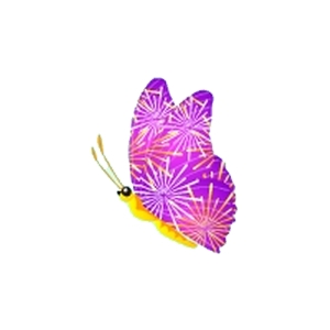 Purplewing Firework Butterfly